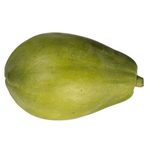 Large Pawpaw