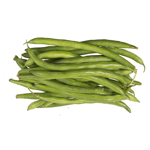 Round Green Bean