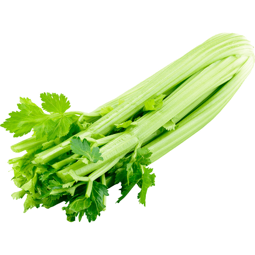 NZ Celery