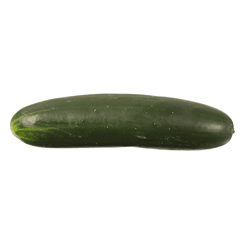 Short Cucumber