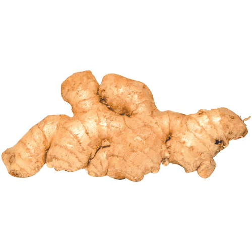 Ginger