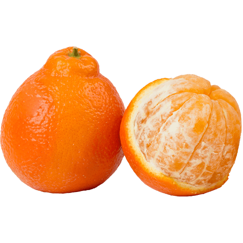 Minneola Tangelo Imported