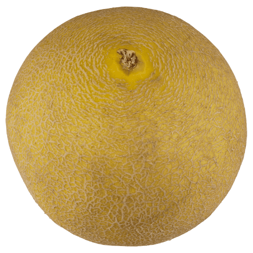 Yellow Honeydew Melon