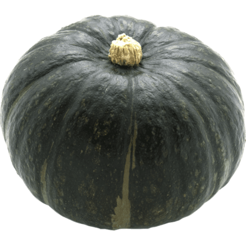 Squash Pumpkin