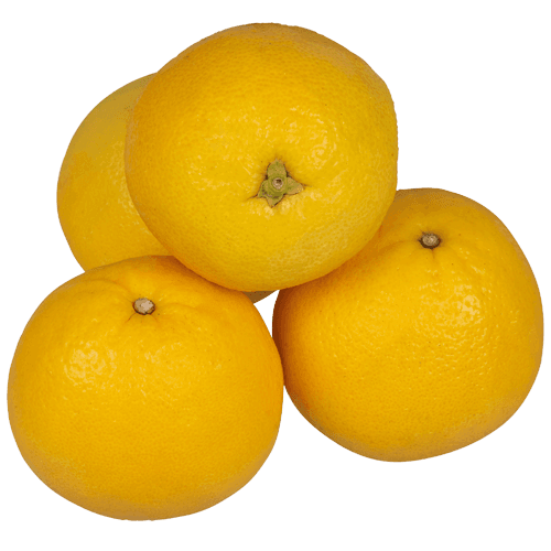 Summer Kiss Valencia Oranges