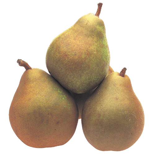 Taylors Gold Pears