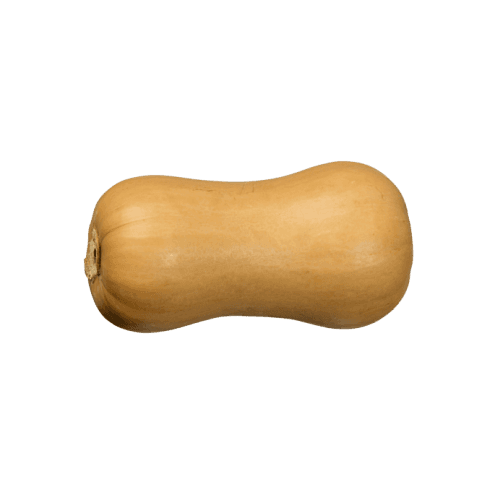 Butternut Pumpkin