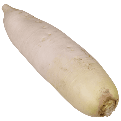 Daikon Radish