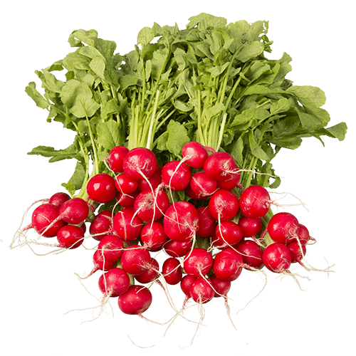 Radishes