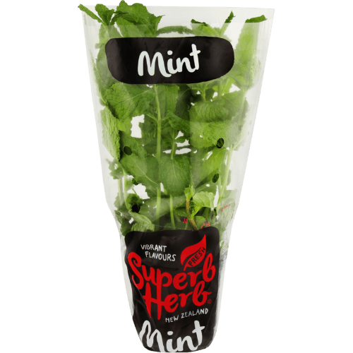 Superb Herb Mint in Large Pot