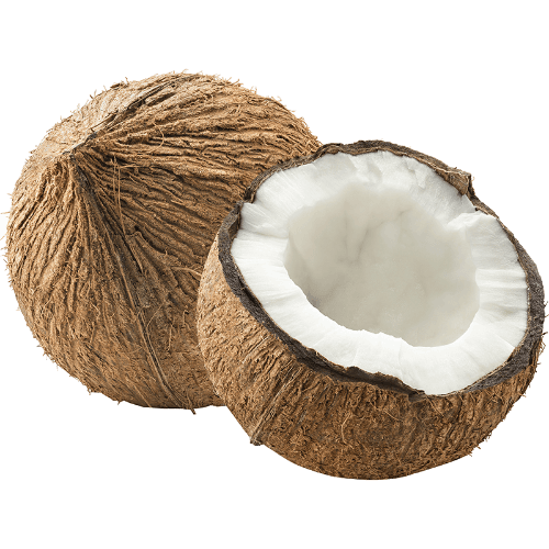 Coconut Dry