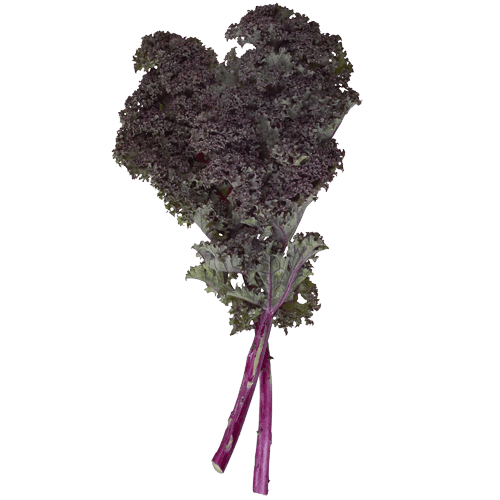 Kale