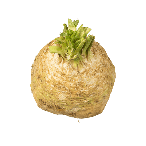 Celeriac