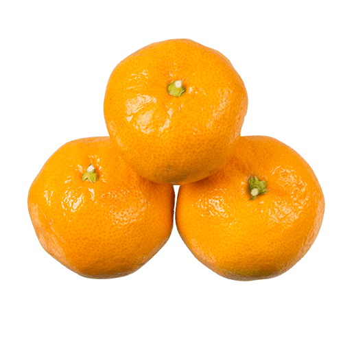 Satsuma Mandarins