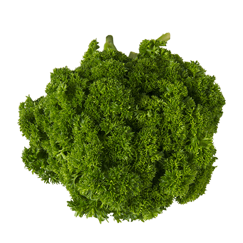Curly Parsley