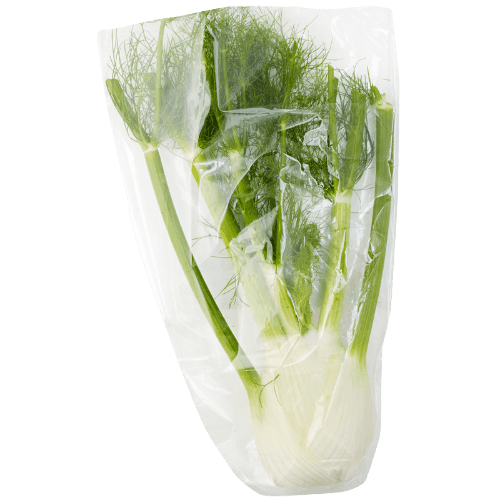 Organic Fennel