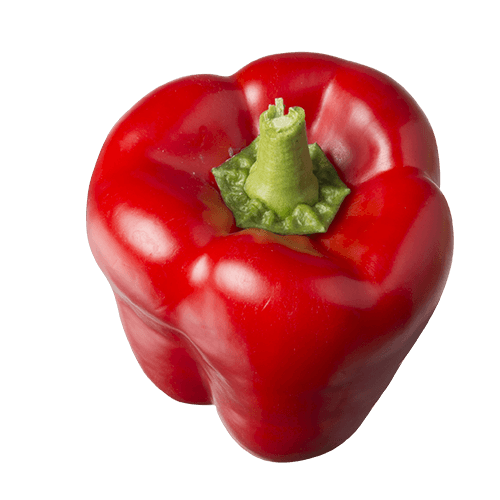 Red Capsicum.