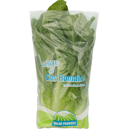 Solar Produce Caesar Romaine Lettuce