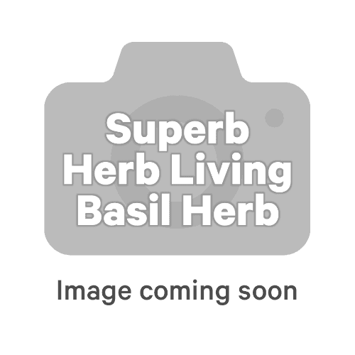 Superb Herb Basil