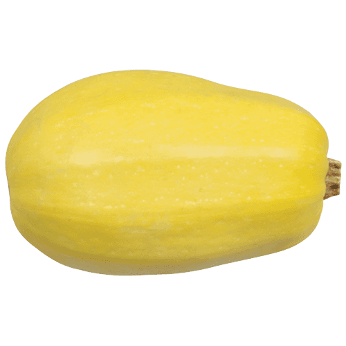 Spaghetti Squash