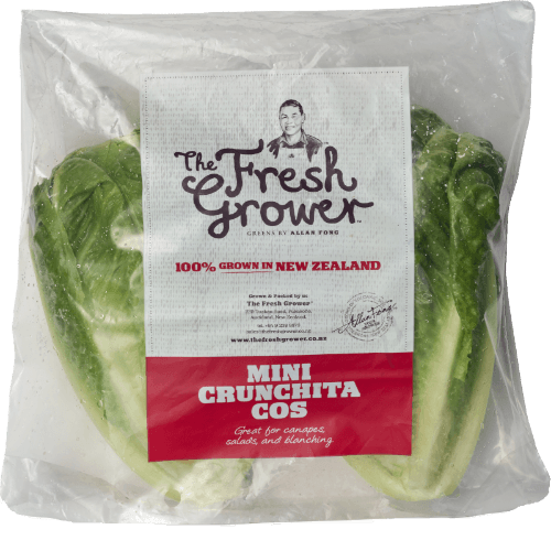 Mini Cos Crunchita Lettuce
