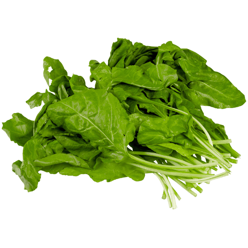 Spinach Bunch