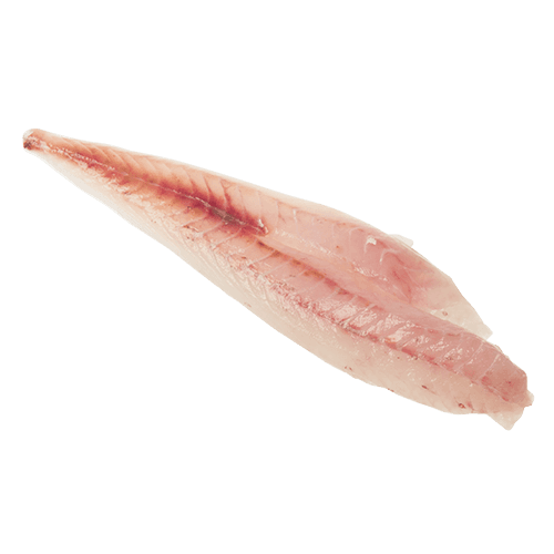 Frozen NZ Red Gurnard Fillets per kg