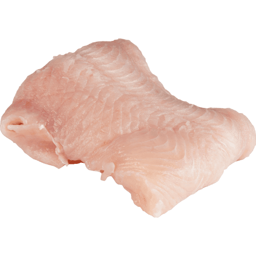 NZ Elephant Fish Fillets