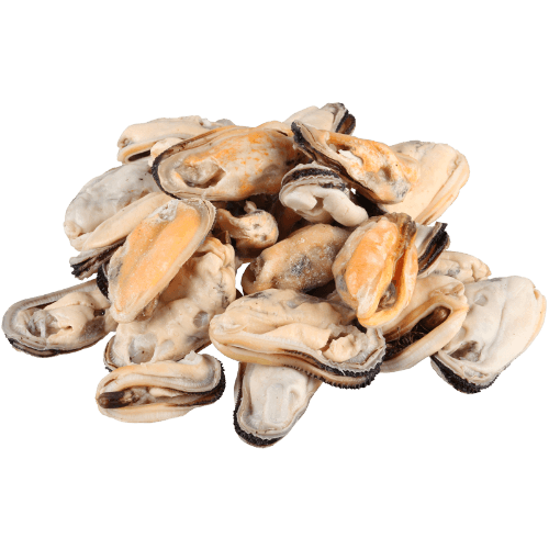 Frozen Greenshell Mussel Meat