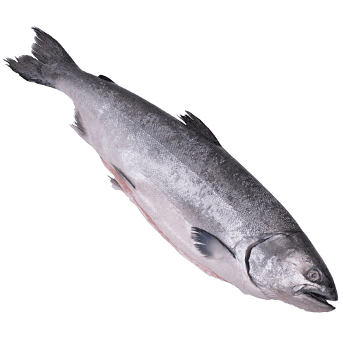 Whole Baby Salmon