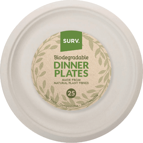 Surv Eco Dinner Plates 26cm