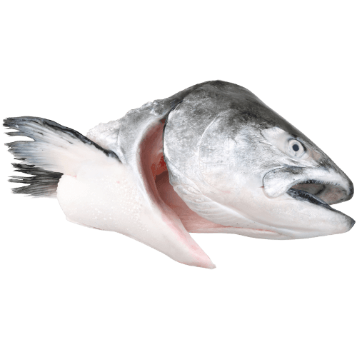 Salmon Heads