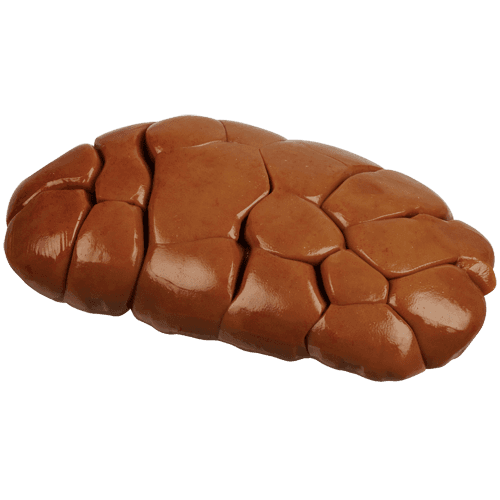 NZ Ox Kidney