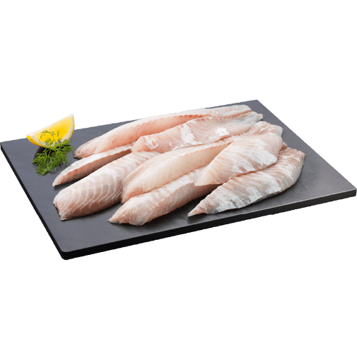 Tarakihi Fillets NZ