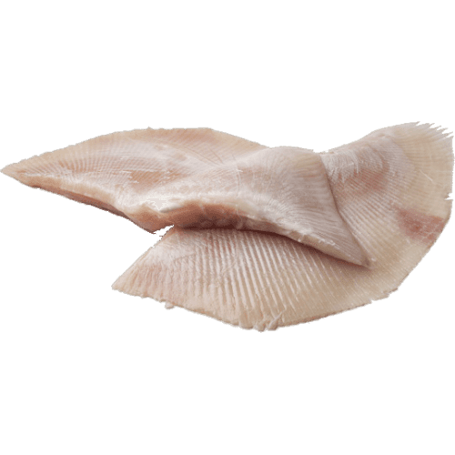 Skate Wings