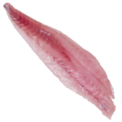 NZ Gurnard Fillets