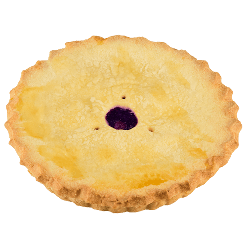 Blueberry Sweet Pastry Family Pie