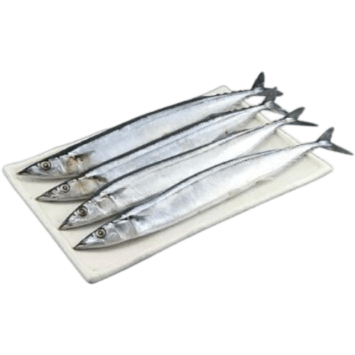 Nishin Whole Frozen Sanma 9 kg