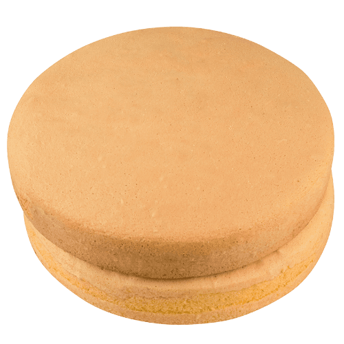 Round Double Sponge