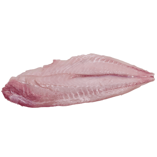 Blue Moki Fillets