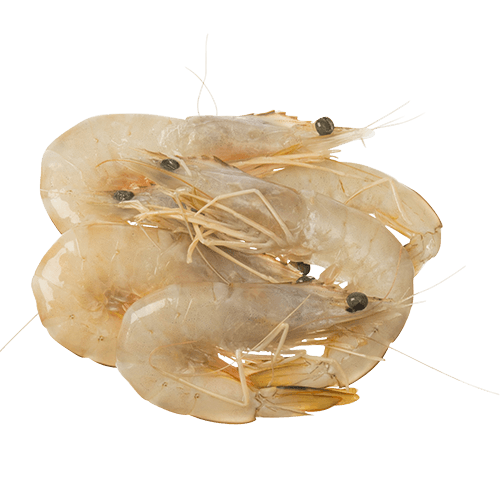 Whole Raw Banana Prawns (Frozen)