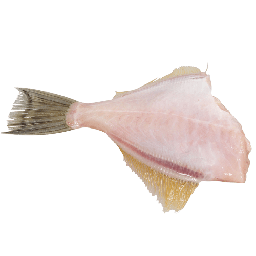 NZ Dressed Leather Jacket Creamfish