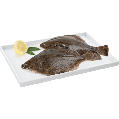 NZ Gutted Sand Flounder