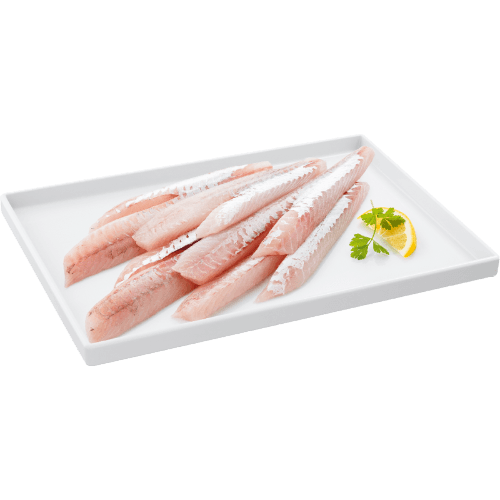 NZ Gurnard Fillets