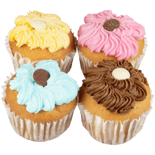 Large Cupcakes 4 pack