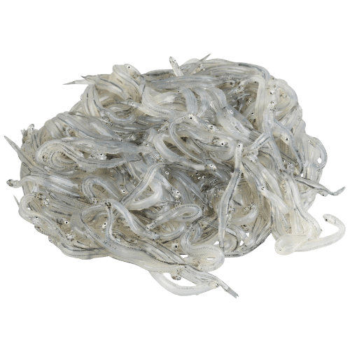 South Island Whitebait per kg