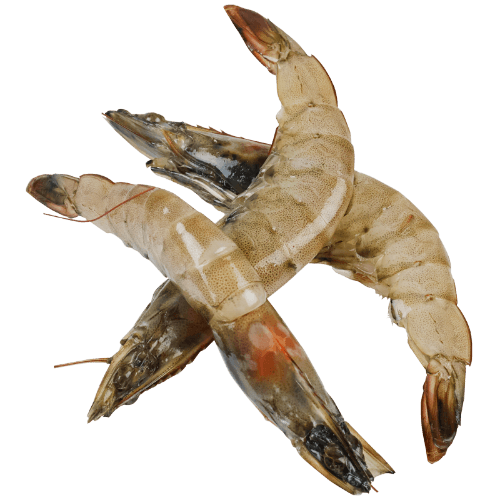 Whole Raw Vannamei Prawns (Prefrozen) per kg