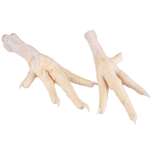 NZ Chicken Feet
