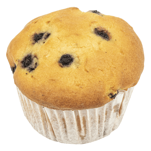 Blueberry Muffin