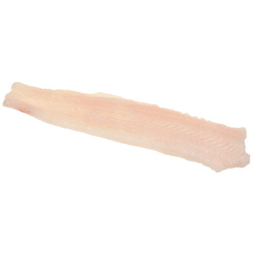 NZ Shark Flake Fillets
